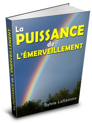 Livre La Puissance de l'Emerveillement